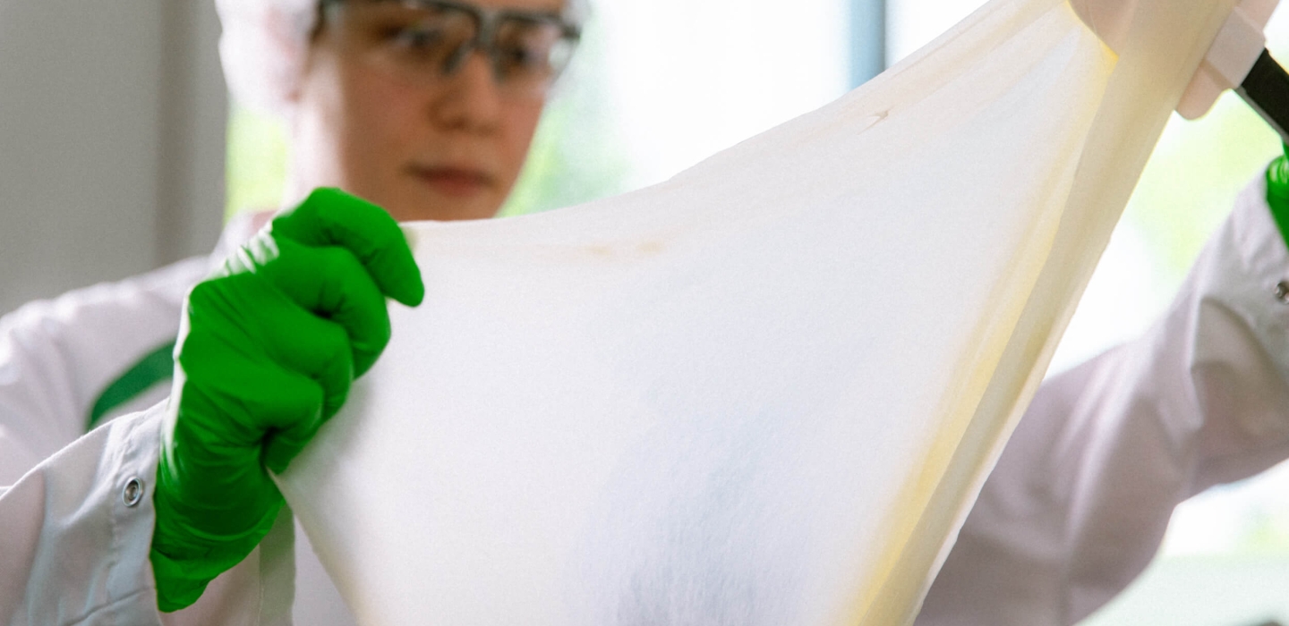Say cheese to functionality & profitability in processed cheese