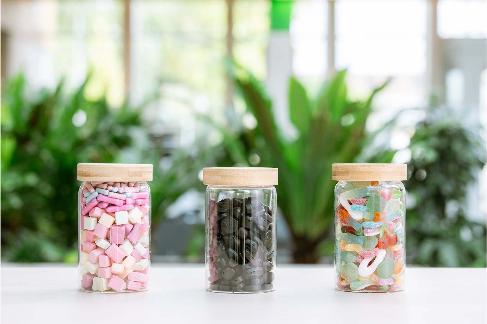 Plant-based Confectionery
