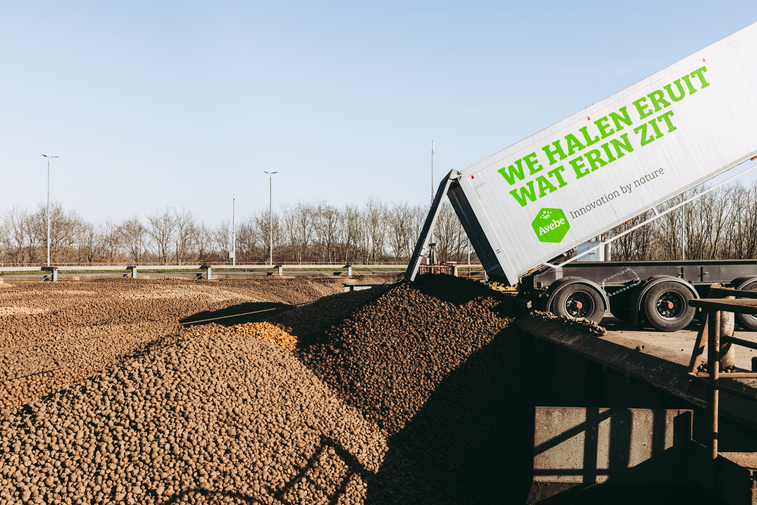 End of potato campaign 2024-2025 Royal Avebe